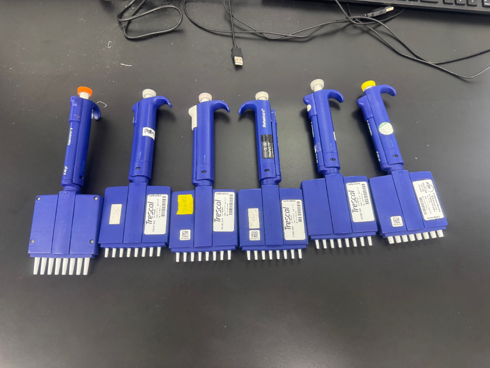 Image of Fisherbrand Finnpipette Multichannel Pipettes - Quantity 6